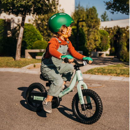 Bicicleta Roda Pro Aro 12 Cloud