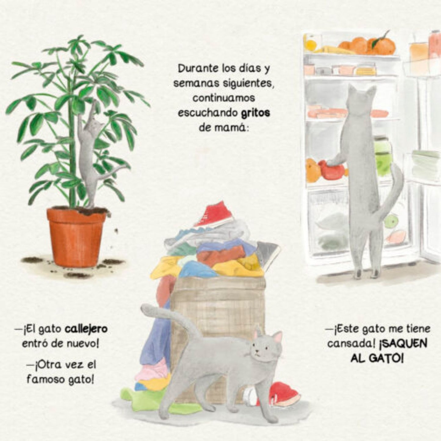 Libro El secreto De Lupe