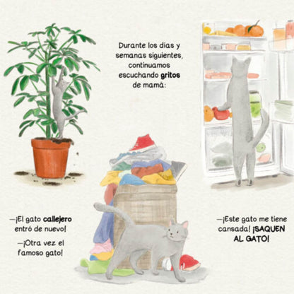 Libro El secreto De Lupe