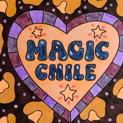 Libro Wander Chile