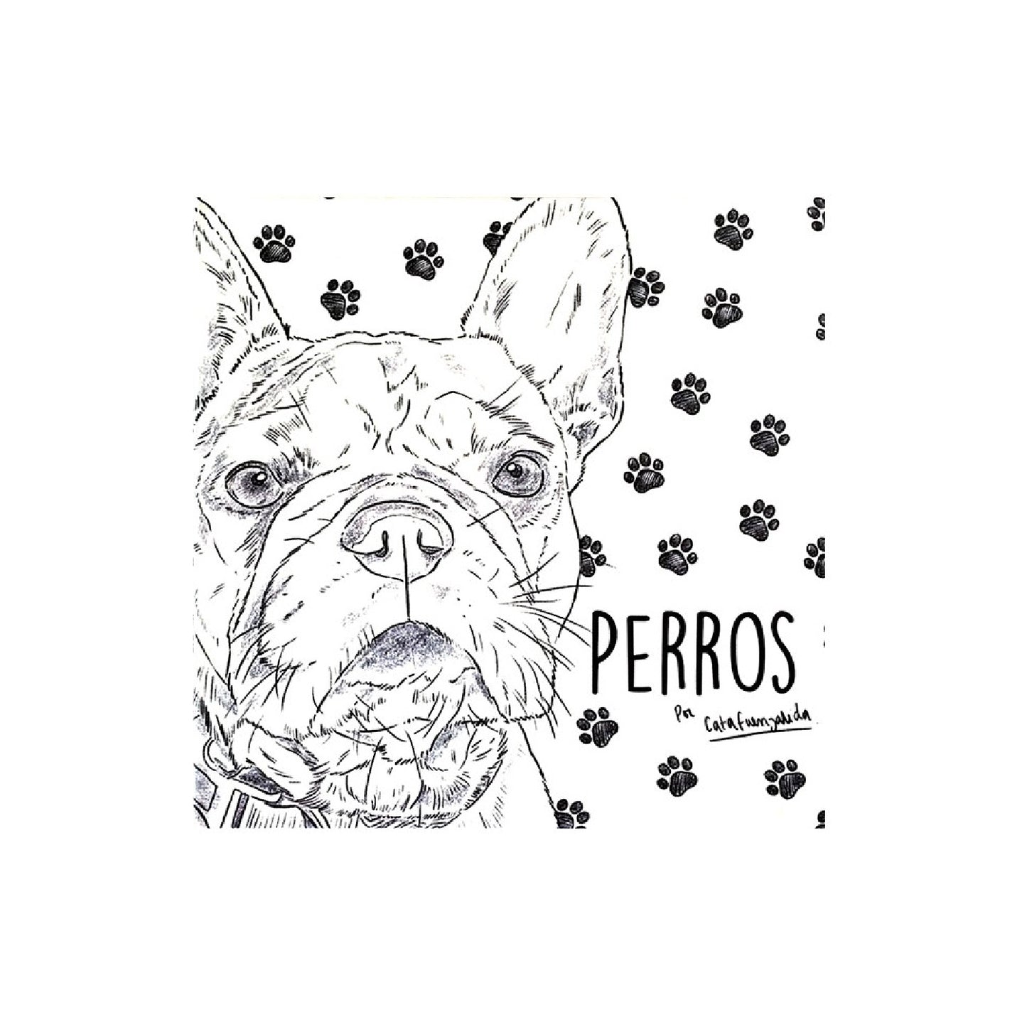Libro perros
