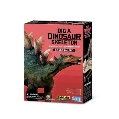 Dinosaurio Stegosaurus Excava