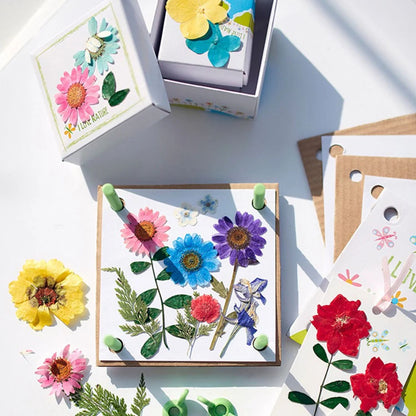 Kit Prensador De Flores