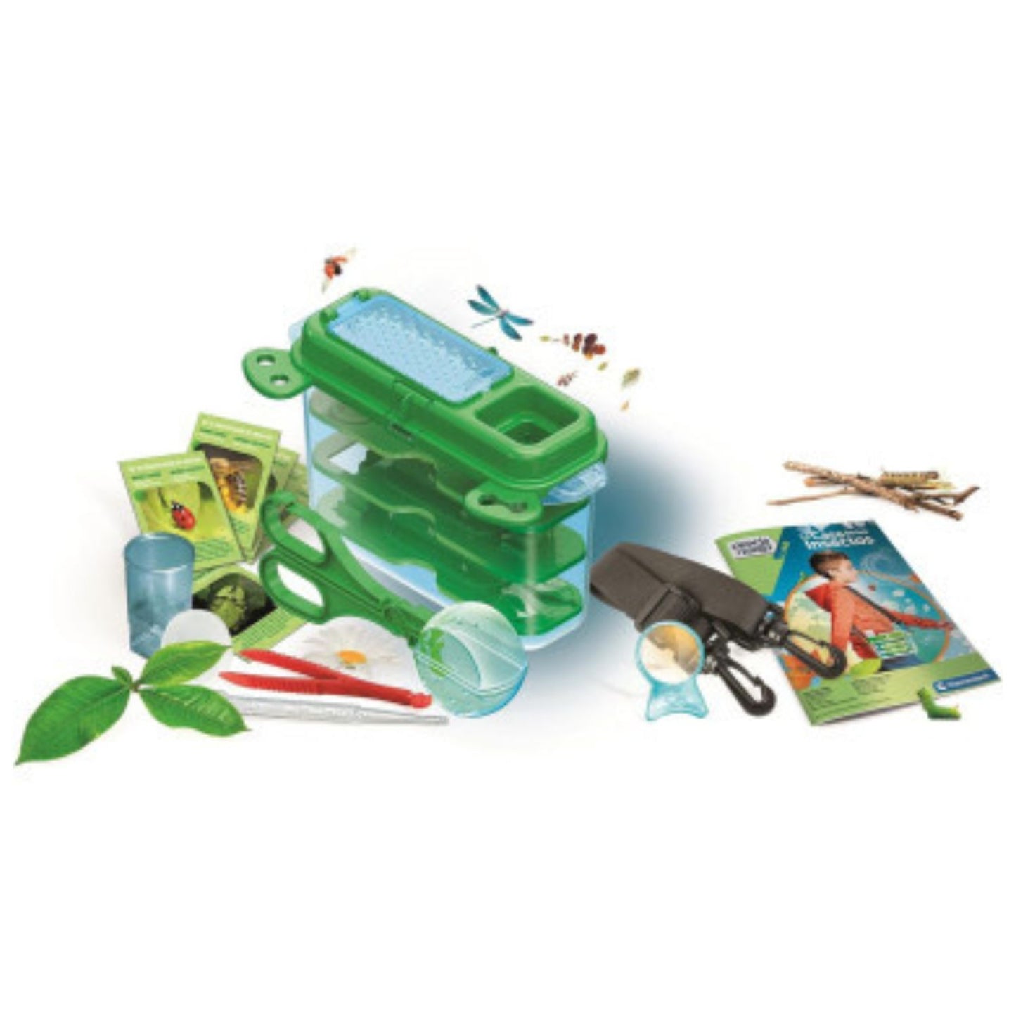 La Casa De Los Insectos