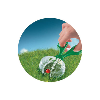 La Casa De Los Insectos