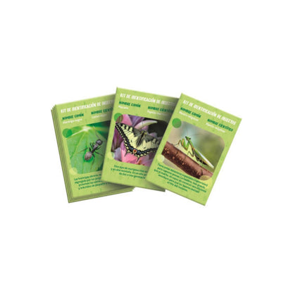 La Casa De Los Insectos