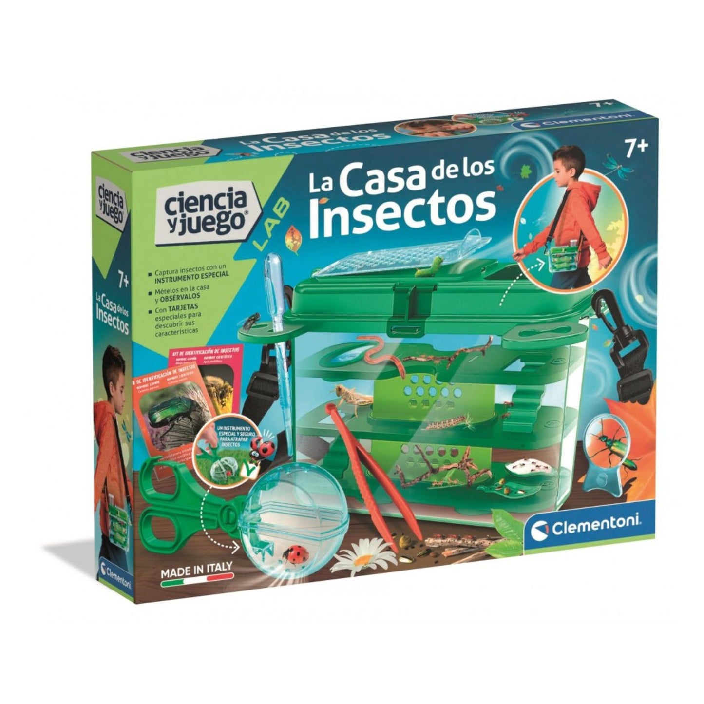 La Casa De Los Insectos