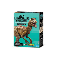 Dinosaurio velociraptor Excava