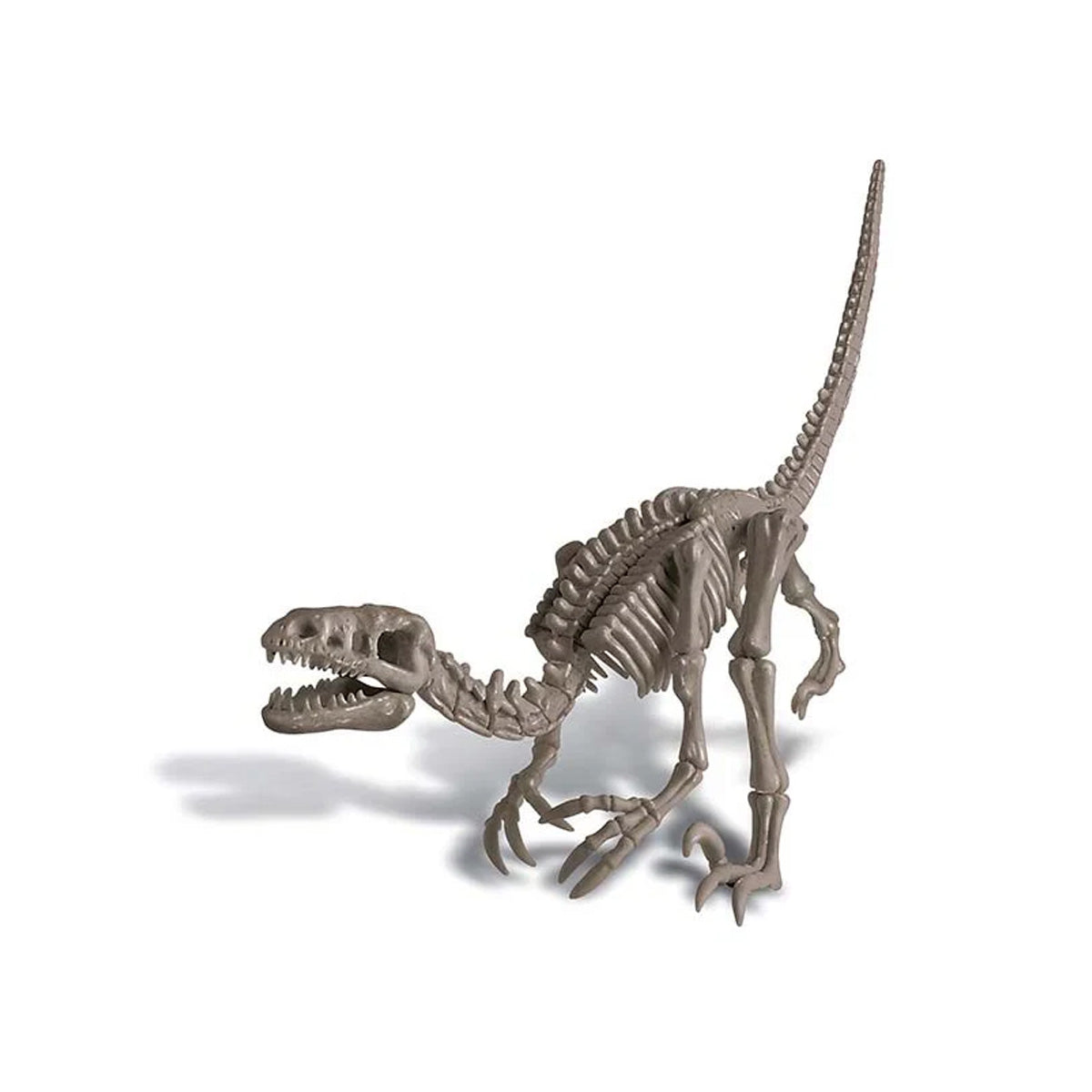 Dinosaurio velociraptor Excava