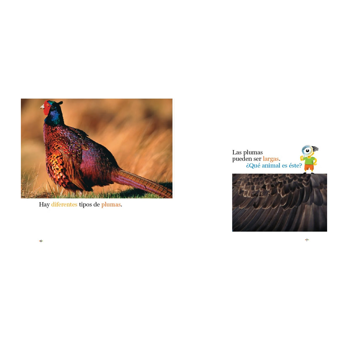 Plumas y más plumas