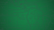 Set Caballos - Modelo D