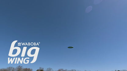 Disco Volador Bigwing