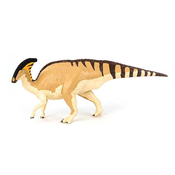 Parasaurolophus Walkeri - mediano
