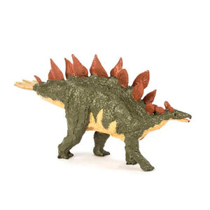 Stegosaurus Ungulatus - mediano