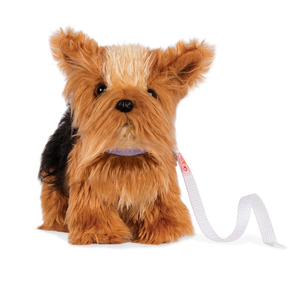 Cachorro Yorkshire Terrier