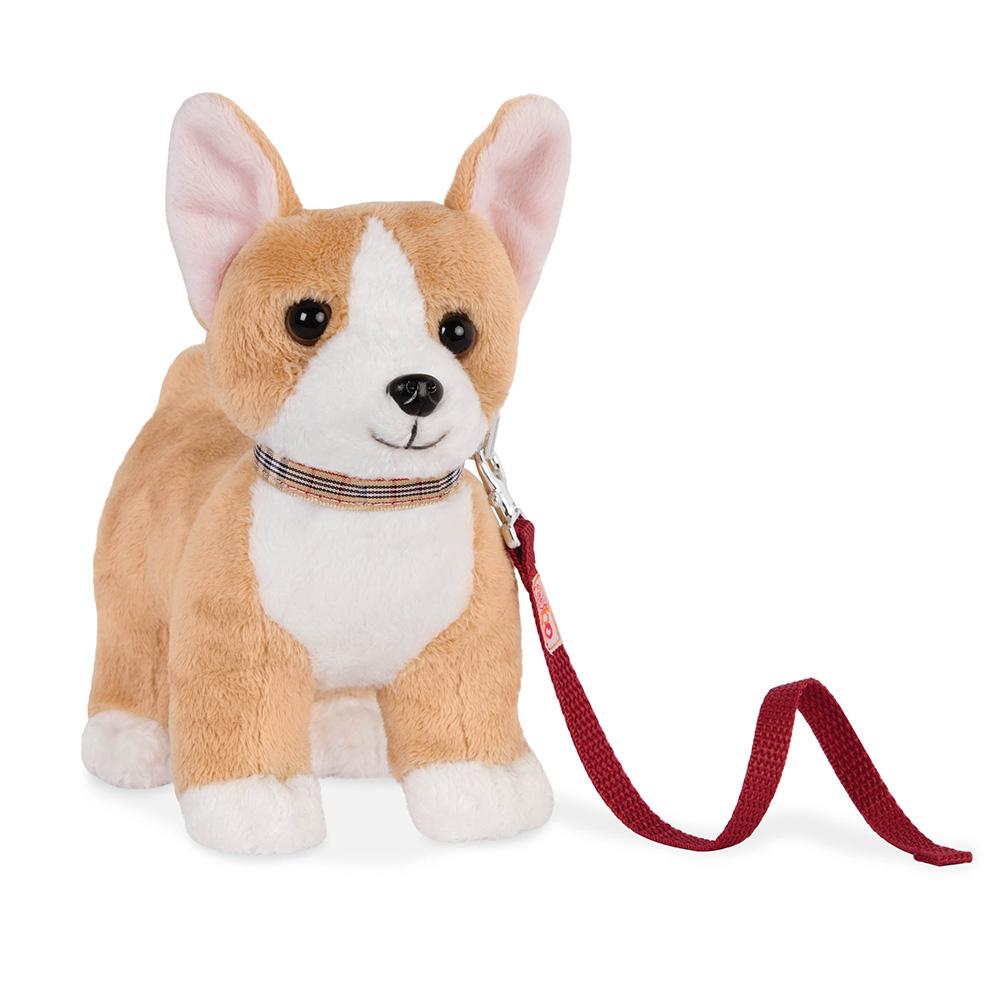 Cachorro Corgi