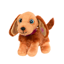 Mascota Perro Hazel