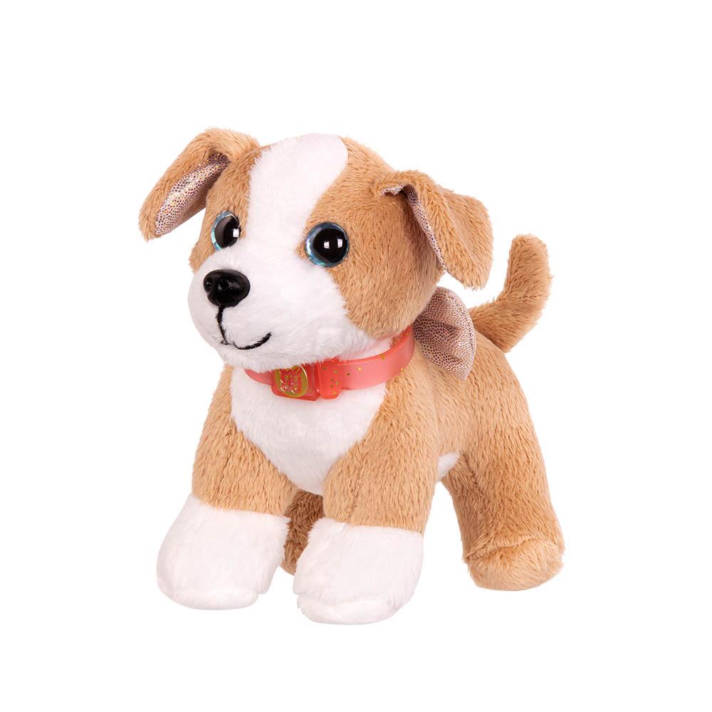 Perro chihuahua Lollie