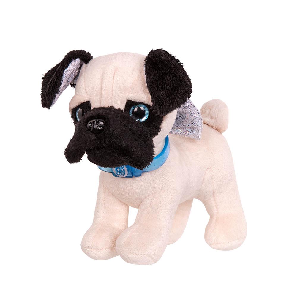 Perro pug Daisy
