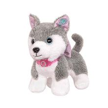 Mascota Perro husky Alaska