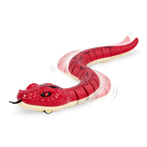 Serpiente arcoíris - Roja
