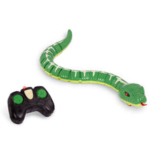 Serpiente arcoíris - Verde