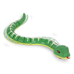 Serpiente arcoíris - Verde