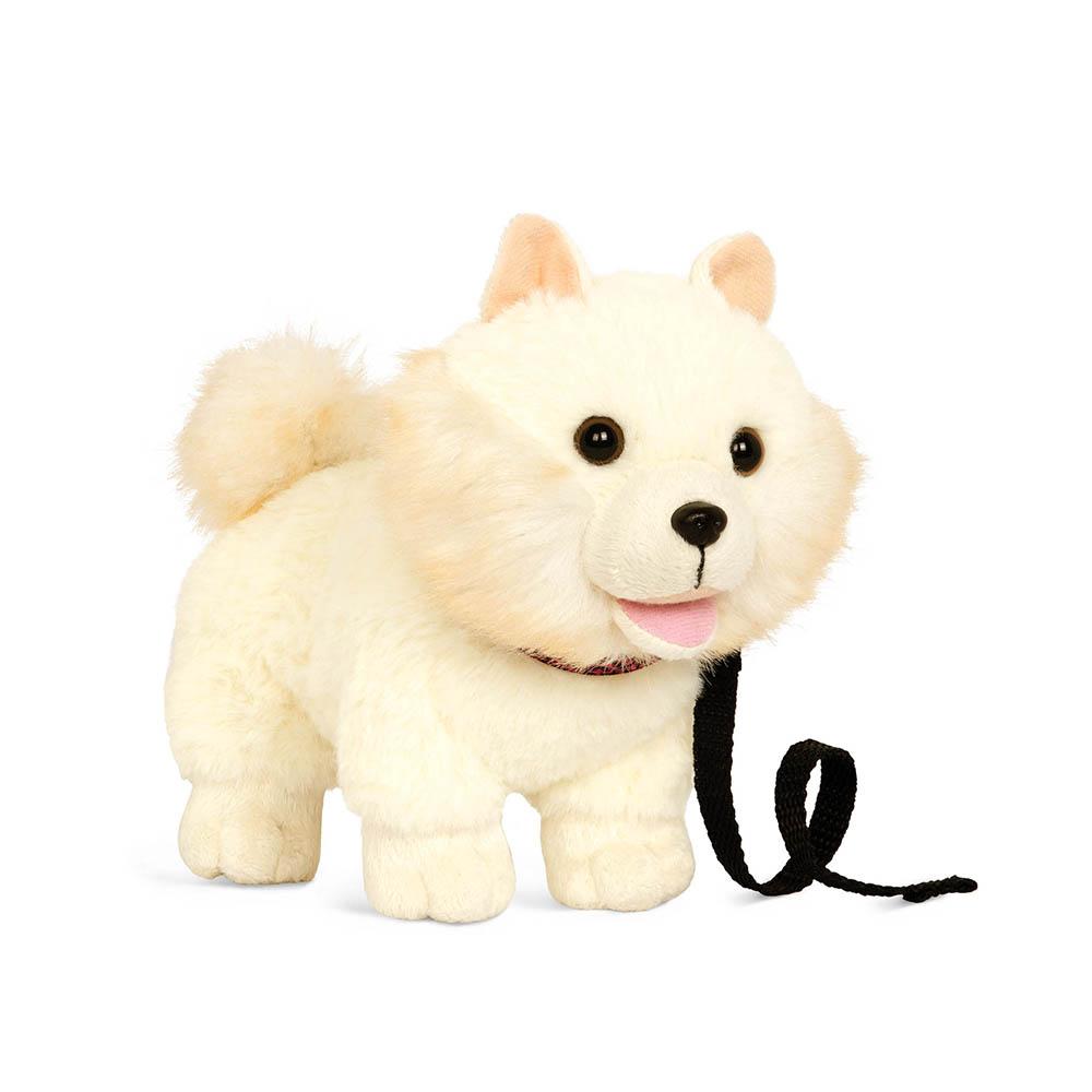 Cachorro Pomeranian