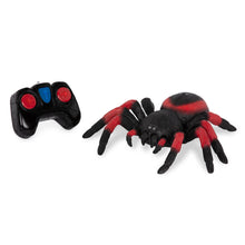 Tarántula a control remoto