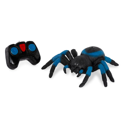 Tarántula - Azul