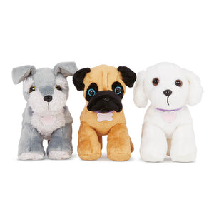 Adopta 3 perros - Pug, Maltés y Schnauzer