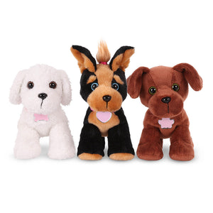 Adopta 3 perros - Bichon Frise, Yorkshire Terrier & Labrador chocolate