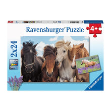 Puzzle Caballos - 2x24