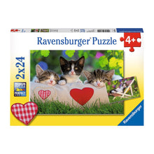 Puzzle Gatos dormilones - 2x24