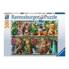 Puzzle Gatos en la estantería - 500 piezas