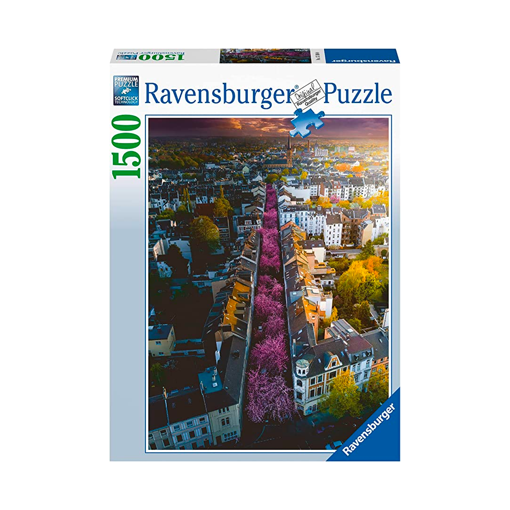 Puzzle Blühendes Bonn - 1500 piezas