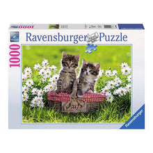 Puzzle Picnic - 1000 piezas