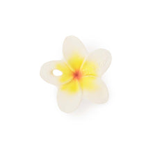 Mordedor Flor Hawaii