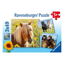 Puzzle Caballos - 3x49