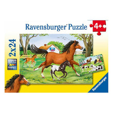 Puzzle Caballitos - 2x24