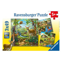 Puzzle Bosque, zoológico, campo - 3x49